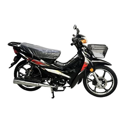 Cub-ld5 125cc mototsikl